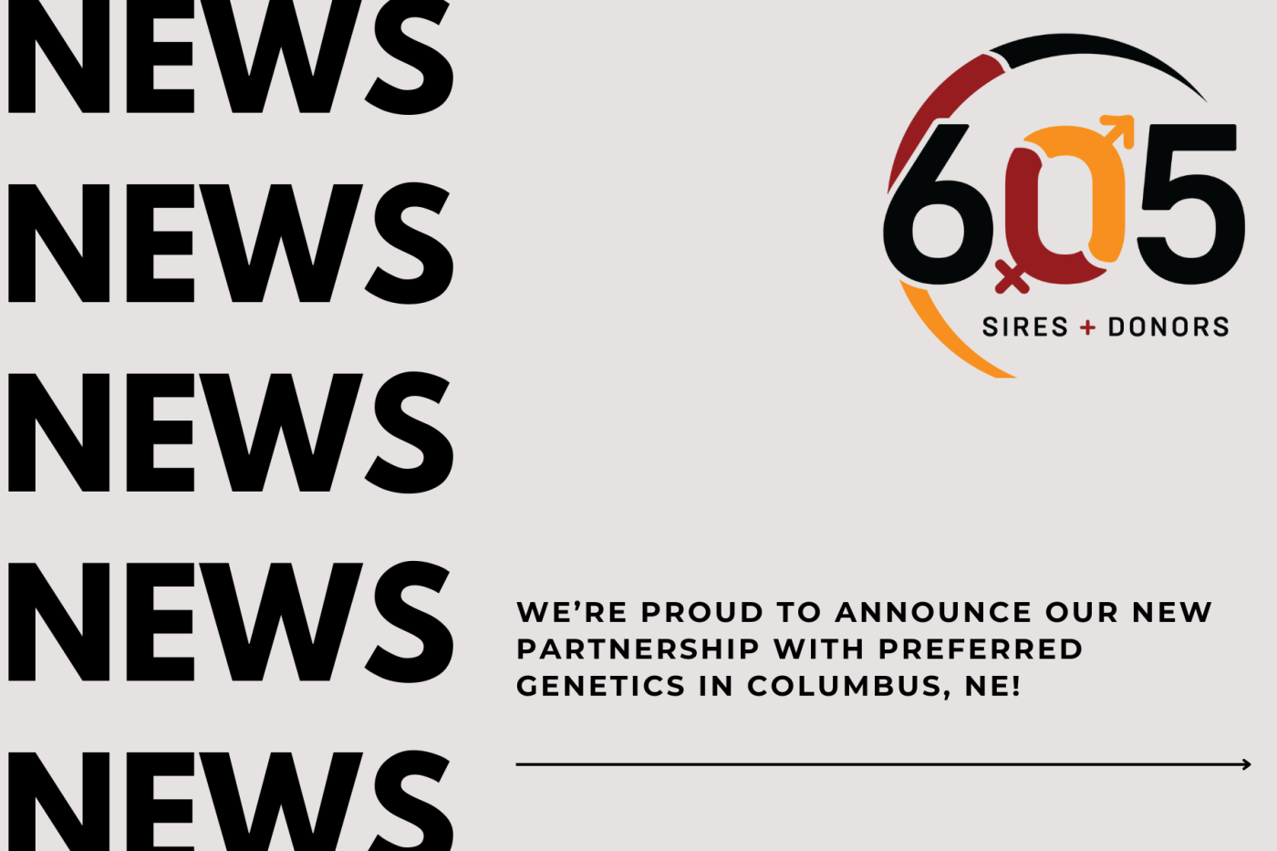 605 Sires + Donors is excited to announce a new partnership with Preferred Genetics, a trusted bovine embryo center with over 25 years of experience in Columbus, NE. This collaboration brings advanced IVF embryo production using patented ABS technology to seedstock producers across Nebraska and neighboring states. With a shared commitment to innovation and client satisfaction, Preferred Genetics and 605 Sires + Donors aim to deliver superior genetic services and flexible breeding options. IVF aspirations will begin immediately, with oocytes collected in Columbus and fertilized at the state-of-the-art 605 lab in Marion, SD. This partnership represents a significant step in providing high-quality reproductive solutions to producers in the upper Midwest.