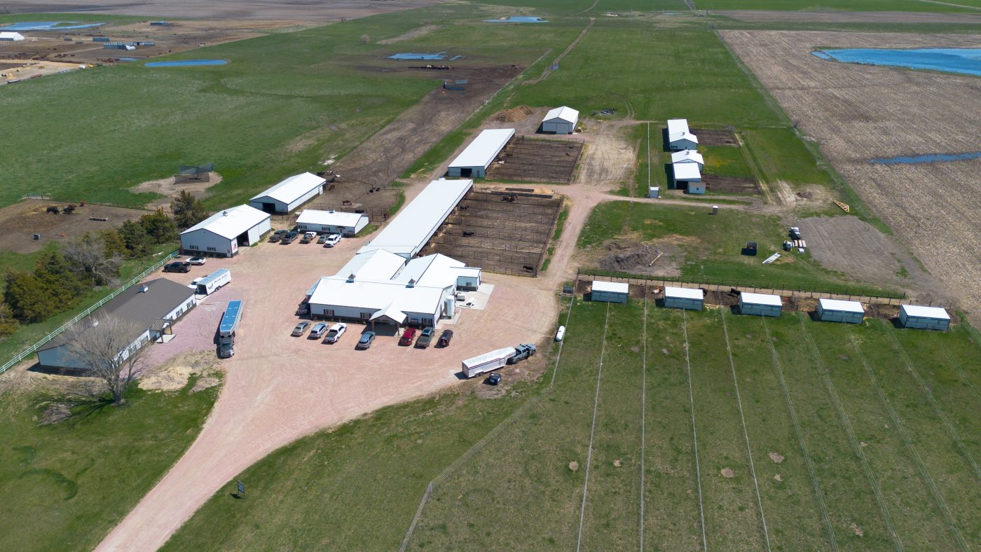 At 605 Sires + Donors, we specialize in cutting-edge reproductive solutions, including In Vitro Fertilization (IVF) and Embryo Transfer (ET). Both technologies offer unique advantages, from increased embryo production to advanced genetic selection. Our state-of-the-art facilities, including a brand-new donor housing facility and on-site reverse sorting lab, ensure optimal breeding success. Whether you're looking to improve pregnancy rates, utilize sexed semen, or access high-quality pregnant recipients through our partnership with Madison Genetics, we provide the tools and expertise to elevate your breeding program. Learn more about our IVF and ET services today!